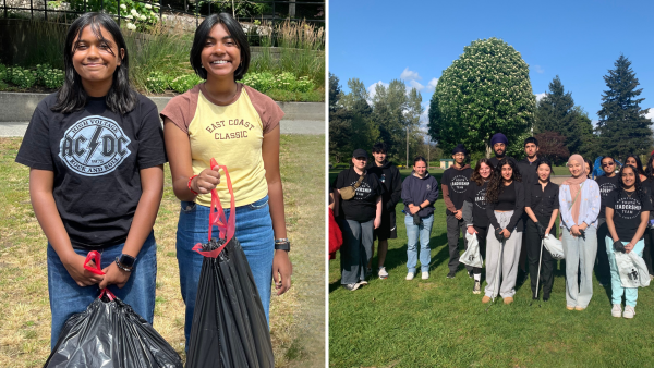 clean up vo lunteer.png